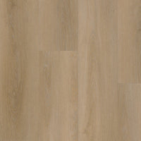 Belakos Attico Rigid Click 810