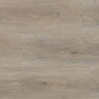 Ambiant Robusto Light Grey