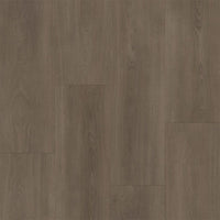 Bodiax BP590 Royal 592 Majestic