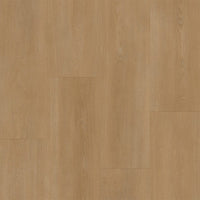 Bodiax BP590 Royal 594 Vendome