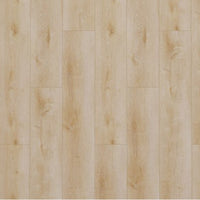 Floors Delight 2500 Natural light