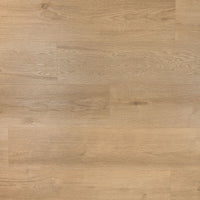 Douwes Dekker Ambitieus Riante Plank Gemberkoek