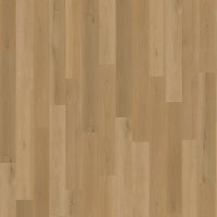 Belakos Borgo Rigid Click 320