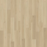Belakos Borgo Rigid Click 330