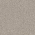 Tapijt met een fijne, dichte structuur in licht taupe kleur, egale en zachte uitstraling zonder zichtbaar patroon.