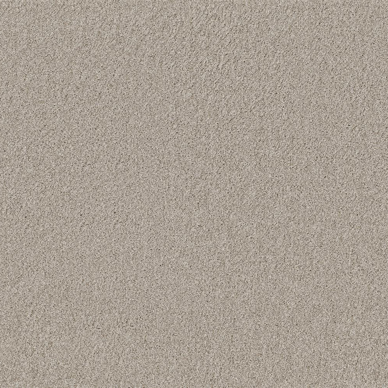 Tapijt met een fijne, dichte structuur in licht taupe kleur, egale en zachte uitstraling zonder zichtbaar patroon.