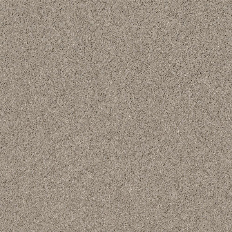 Beige ondervloer met fijne, gelijkmatige korrelstructuur en zachte matte afwerking.