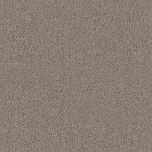 tapijt met fijne, dicht geweven structuur in een effen taupe kleur, zacht en egaal oppervlak zonder patroon