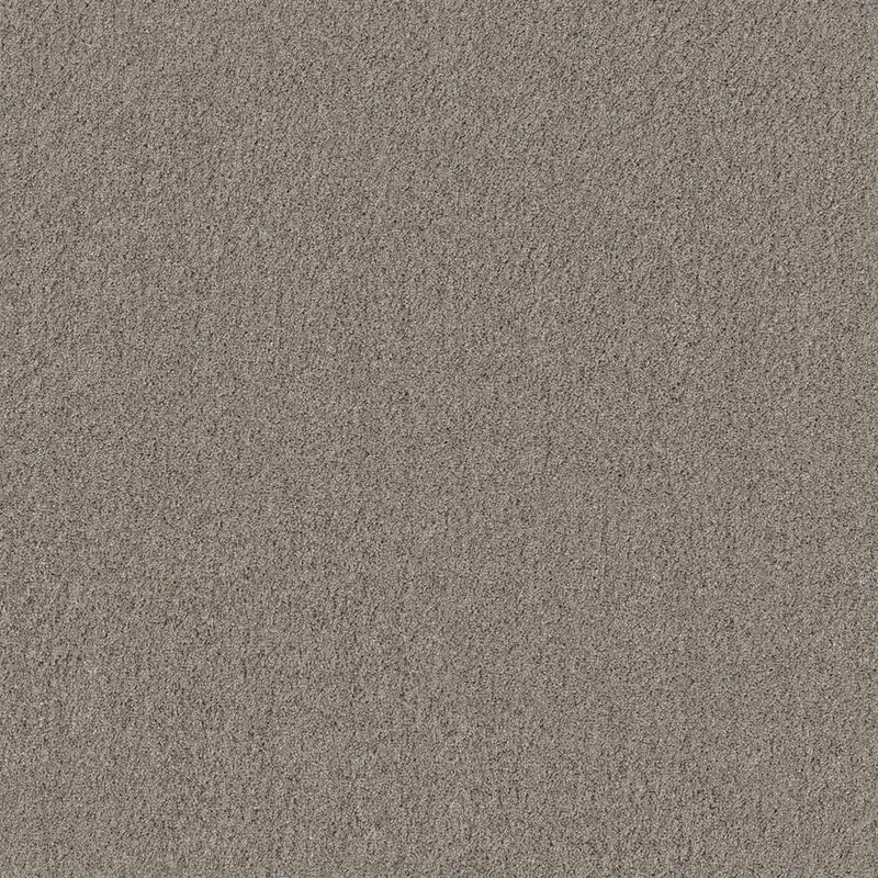 tapijt met fijne, dicht geweven structuur in een effen taupe kleur, zacht en egaal oppervlak zonder patroon