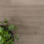 licht grijs bruin eiken vloer met brede planken en zichtbare houtnerf naast groene kamerplant met ronde bladeren