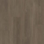 Bodiax BP590 Royal 592 Majestic
