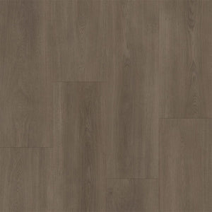 Bodiax BP590 Royal 592 Majestic