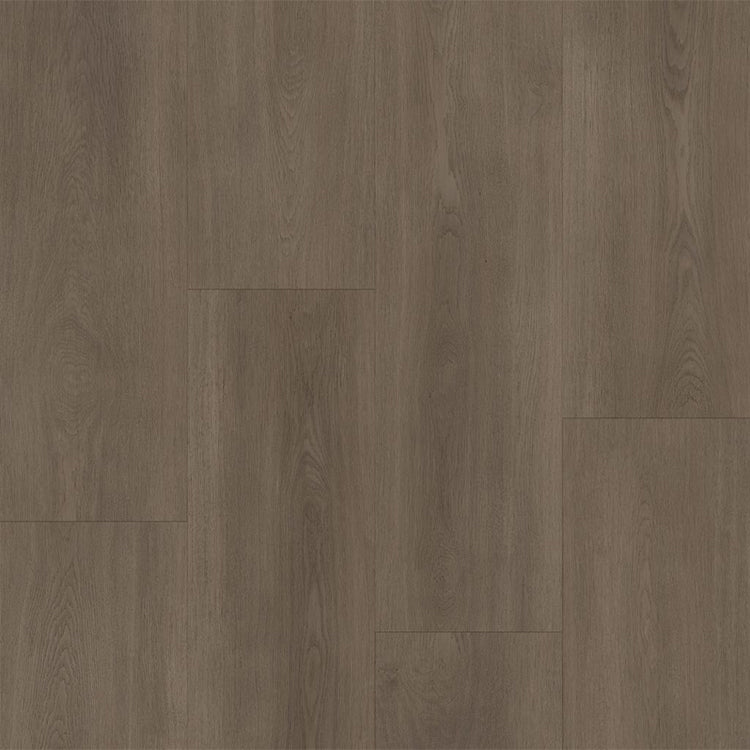 Bodiax BP590 Royal 592 Majestic