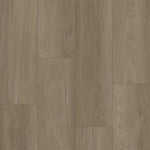 Bodiax BP370 Estrela 123 Ash