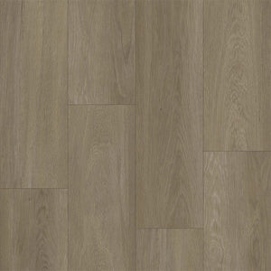 Bodiax BP370 Estrela 123 Ash