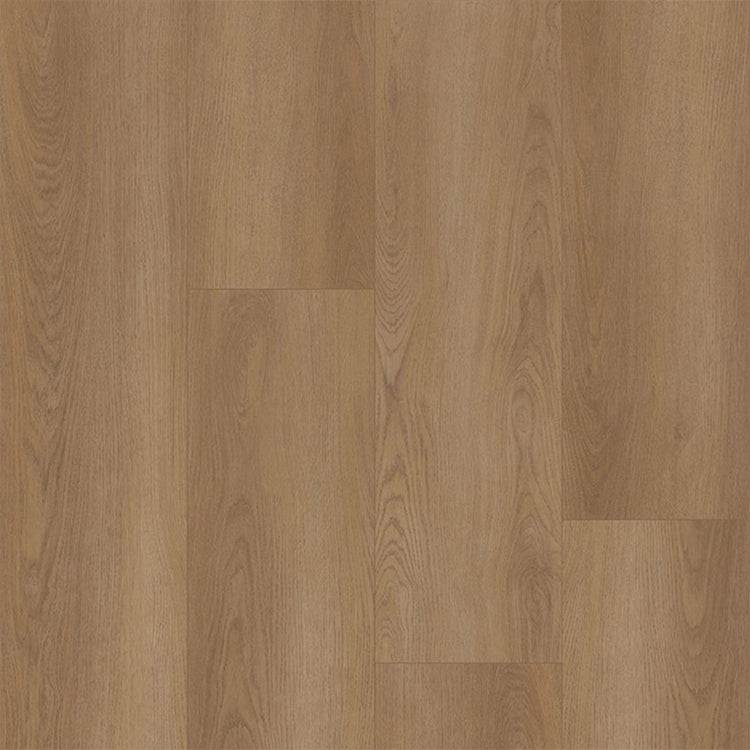 Bodiax BP370 Estrela 122 Shade