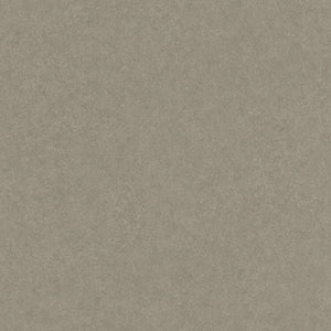 licht taupe tegelvloer met fijne, subtiele structuur zonder duidelijk patroon