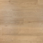 Douwes Dekker Ambitieus Klik Riante Plank Gemberkoek