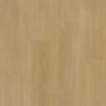 Bodiax BP590 Royal 593 Regency
