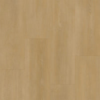 Bodiax BP590 Royal 593 Regency