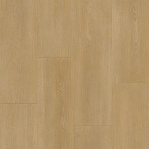 Bodiax BP590 Royal 593 Regency