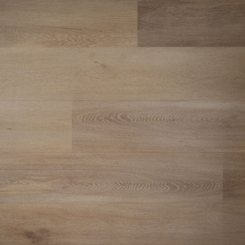 Douwes Dekker Ambitieus Klik Riante Plank Honing