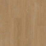 Bodiax BP590 Royal 594 Vendome