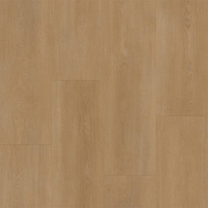Bodiax BP590 Royal 594 Vendome