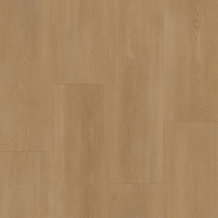 Bodiax BP590 Royal 594 Vendome
