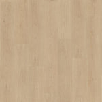 Belakos Monastro Rigid Click 920