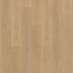 Belakos Monastro Rigid Click 930