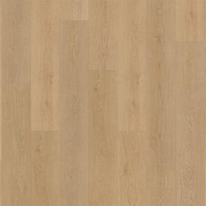 Belakos Monastro Rigid Click 930