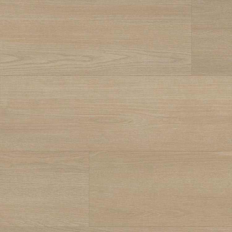 Ambiant Cavalley Beige