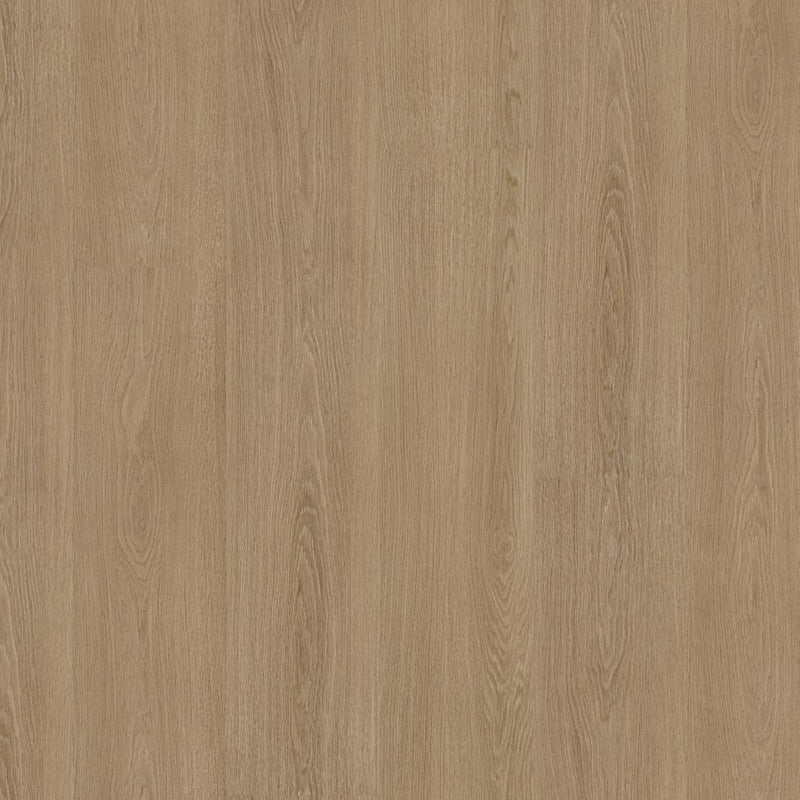 Ambiant Soleno Dryback Warm Oak