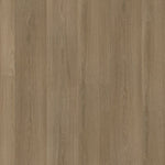Ambiant Soleno Dryback Dark Oak