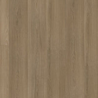 Ambiant Soleno Dryback Dark Oak