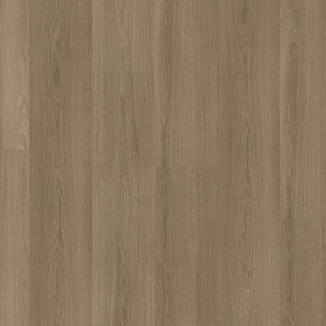 Ambiant Soleno Dryback Dark Oak