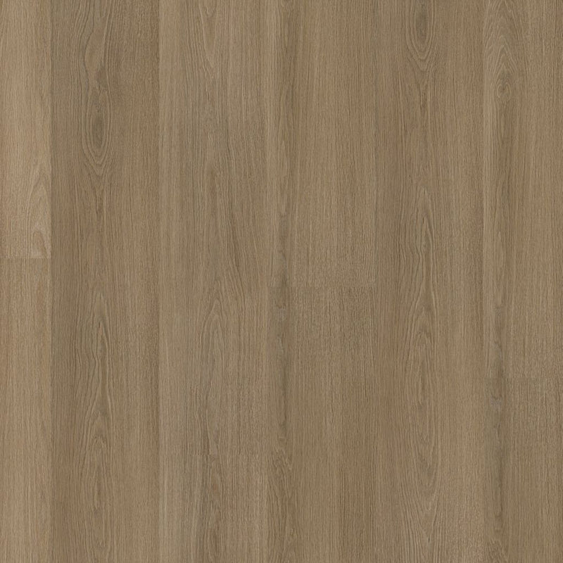 Ambiant Soleno Dryback Dark Oak