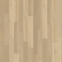 Belakos Borgo Rigid Click 310