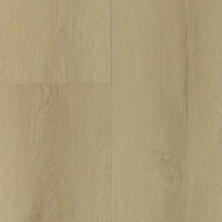 Gelasta Sierra Rigid Click Light 3002