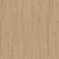 Tarkett iD Inspiration 55 XXL Pure Oak Haver